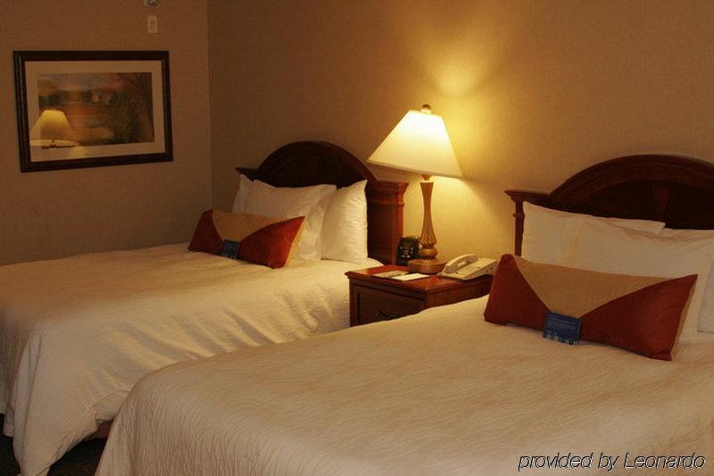 Hilton Garden Inn West Edmonton Quarto foto